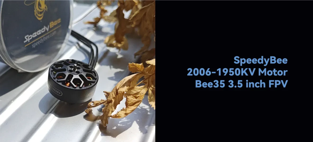 1950 speedybee 2006