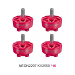 NEON2207 2550