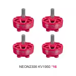 NEON2306 1950