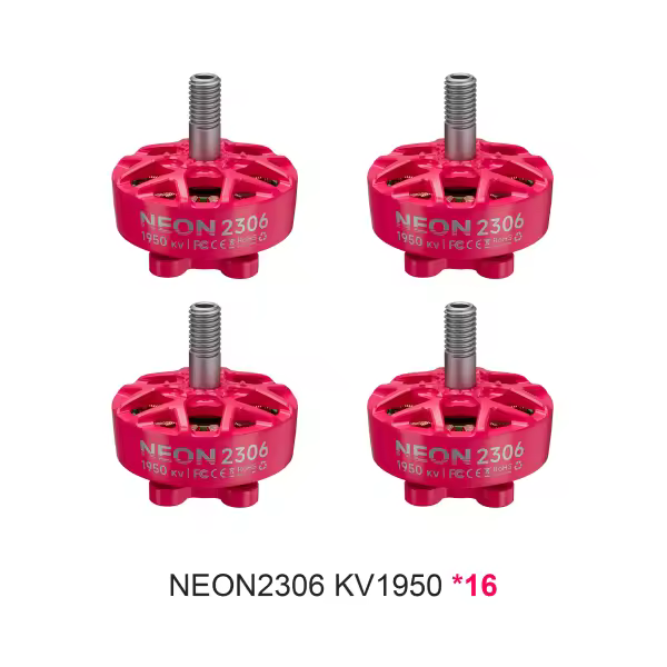 NEON2306 1950