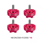 NEON2306 2050