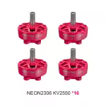 NEON2306 2550