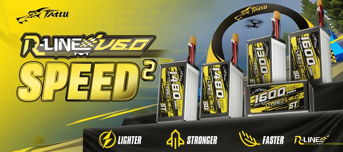 TA RL6 160C 1480 6S1P XT60 pc