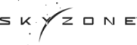 Brand Logo of SKYZONE