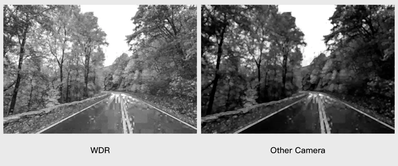 CaddxFPV Infra V2 Camera WDR