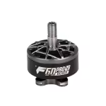 f60v Motor vorne