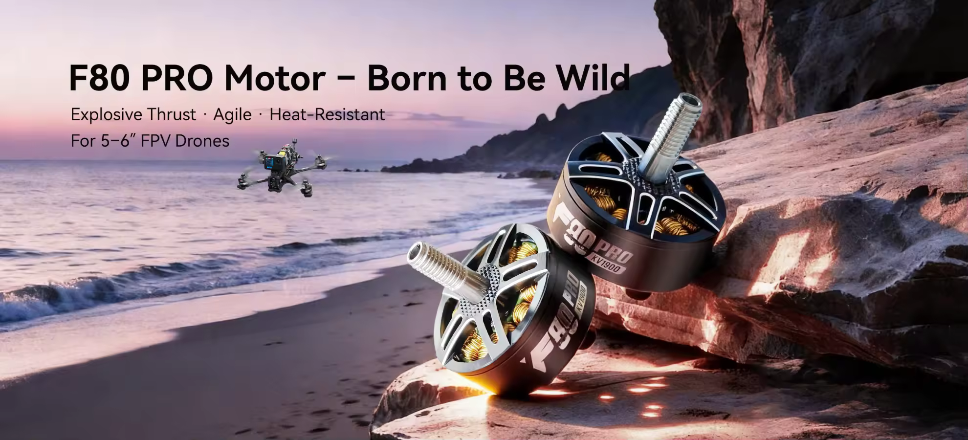 f80 pro motor