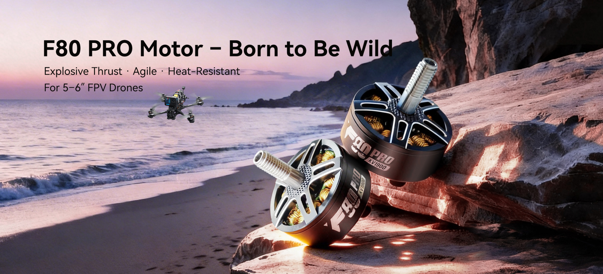 f80 pro motor