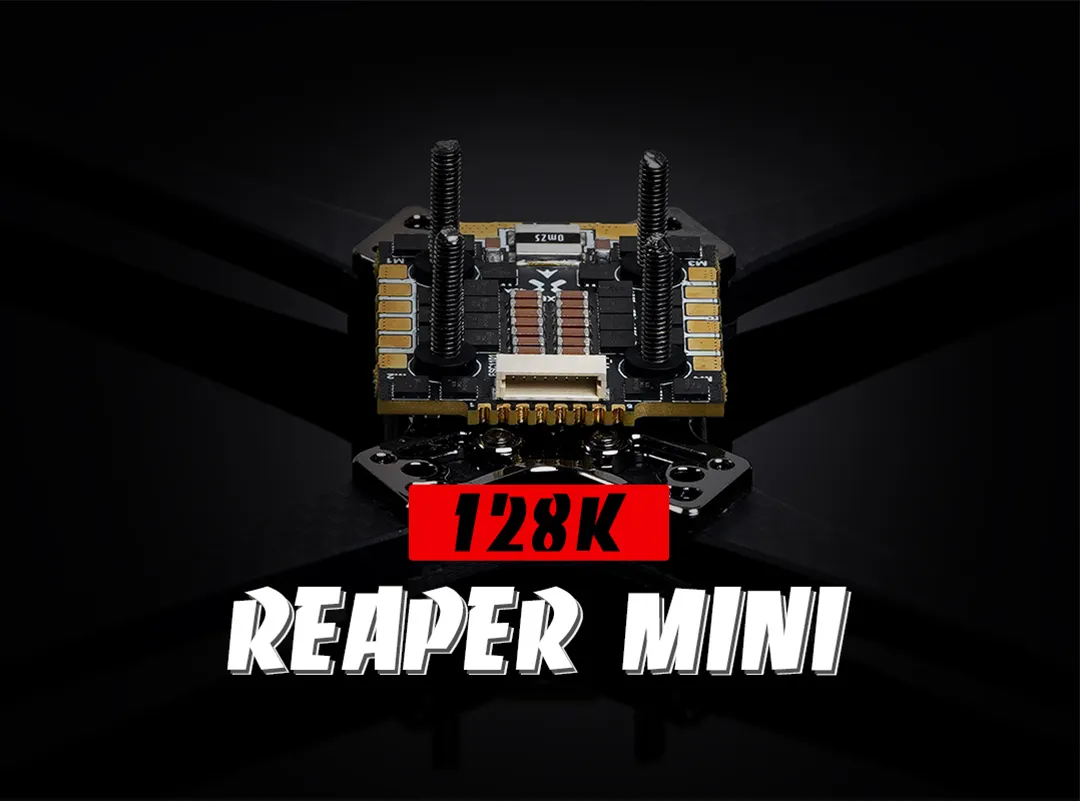foxeer mini reaper 128k 45a bl32 4in1 esc show