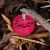 meps neon 2207 v2 motor image pink