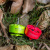 meps neon 2812 brushless motor for 8 inch fpv cinematic drone two