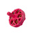 NEON 2203.5 bürstenloser Motor 1500KV Seitenansicht in pink