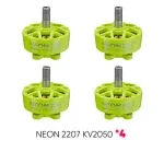 NEON 2207 2050 green bundle