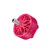 neon 2207 v2 2050kv pink side