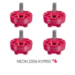 NEON 2306 1950 pink bundle