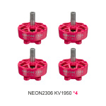 neon 2306 1950 pink