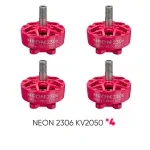 NEON 2306 2050 pink bundle