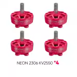 NEON 2306 2550 rosa Bündel