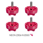 NEON 2306 2550 pink bundle