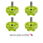 NEON 2306 KV1950 green bundle