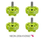 NEON 2306 KV2550 green bundle