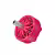 Neon 2306 V2 1950 kV Seite rosa