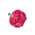 neon 2306 v2 2050kv side pink
