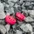 MEPS NEON 2505.5 Drohnenmotor 2000KV in pink
