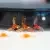 meps-propeller-drones-instructions-sz1218-O