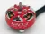 rcinpower gts v3 1203 motor red