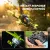 t hobby 5 inch freestyle 6s power system fast reponse
