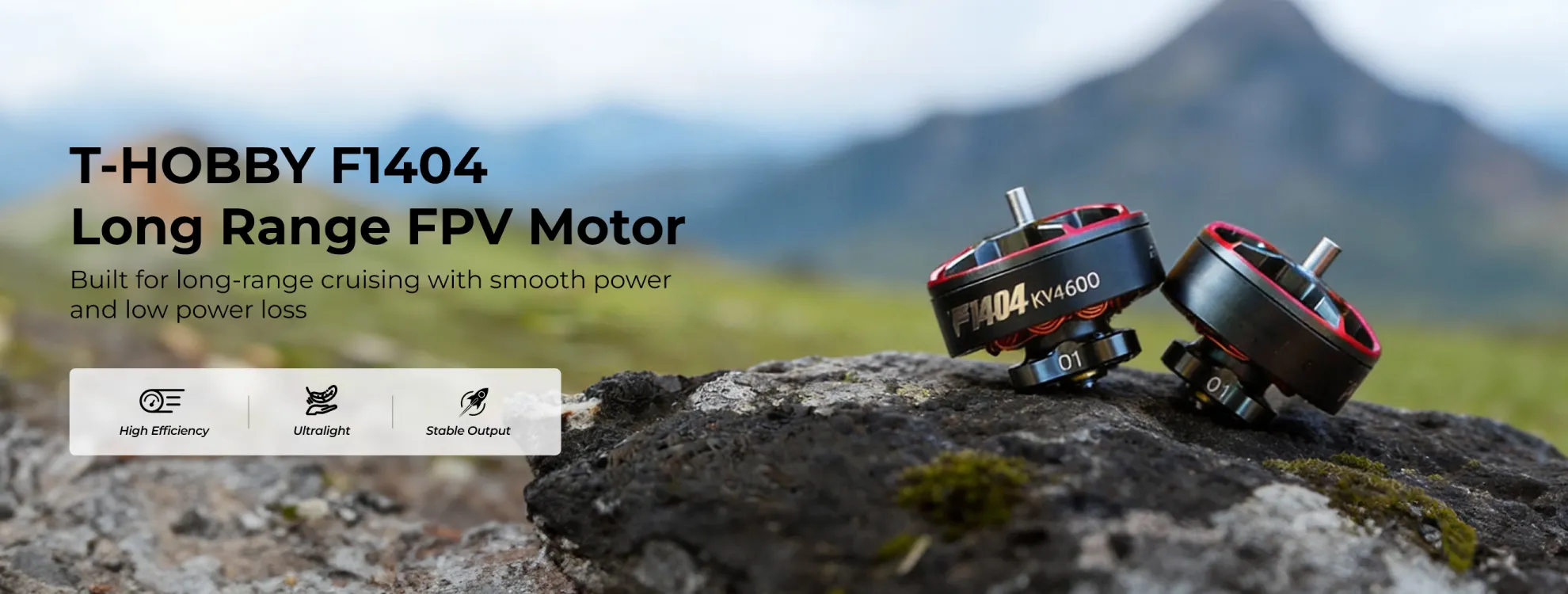 t hobby f1404 long range fpv motor pc