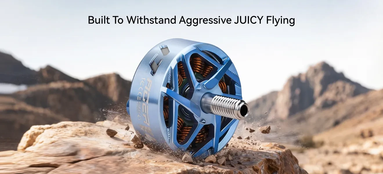 t hobby p2406 built to withstand aggressive juicy flying