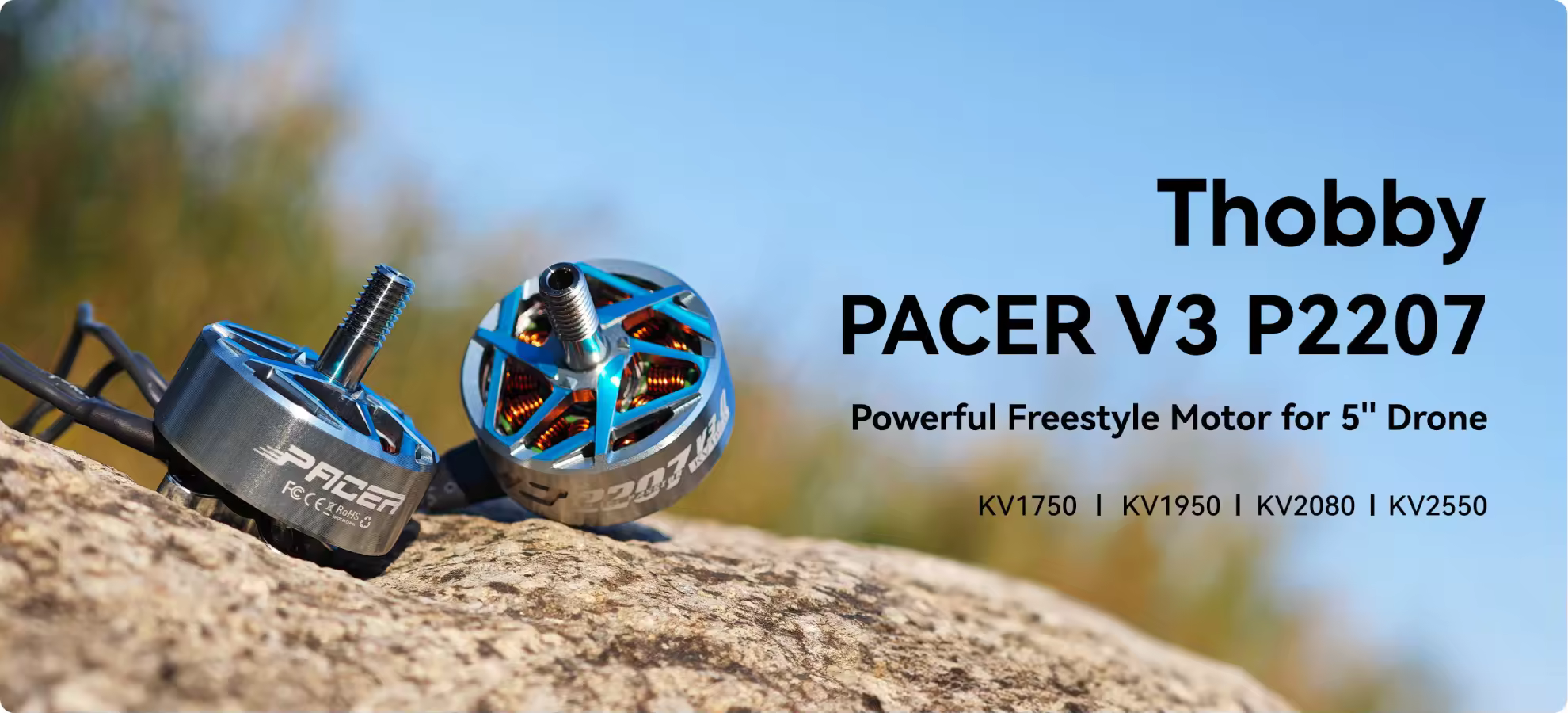 t hobby pacer v3 p2207 pc 1