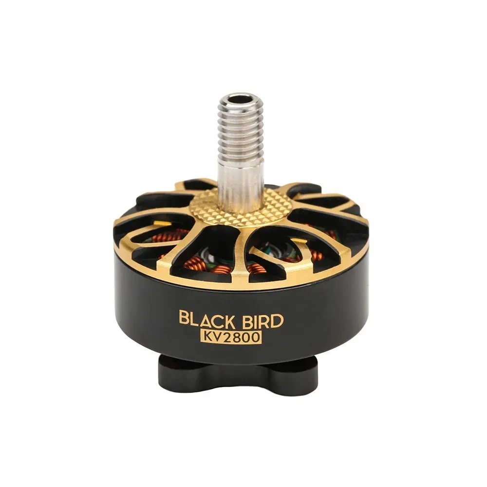T-Motor black bird v2.0 motor front