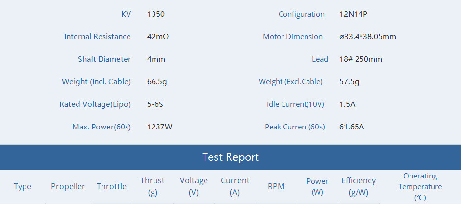 tmotor-f100-motor-specifications TMOTOR F100 motor specifications